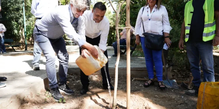 Χάρης Δούκας: Δημιουργούμε έναν μικρό πνεύμονα πρασίνου στον Βοτανικό, στόχος να φυτέψουμε 5.000 δέντρα Χάρης Δούκας: Δημιουργούμε έναν μικρό πνεύμονα πρασίνου στον Βοτανικό, στόχος να φυτέψουμε 5.000 δέντρα