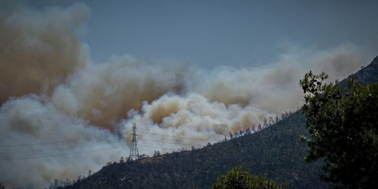 Χωρίς ενεργό μέτωπο η πυρκαγιά στη Βουρβουρού- Παραμένουν οι πυροσβεστικές δυνάμεις για τον κίνδυνο αναζωπυρώσεων – FANTOMAS.GR Χωρίς ενεργό μέτωπο η πυρκαγιά στη Βουρβουρού- Παραμένουν οι πυροσβεστικές δυνάμεις για τον κίνδυνο αναζωπυρώσεων – FANTOMAS.GR