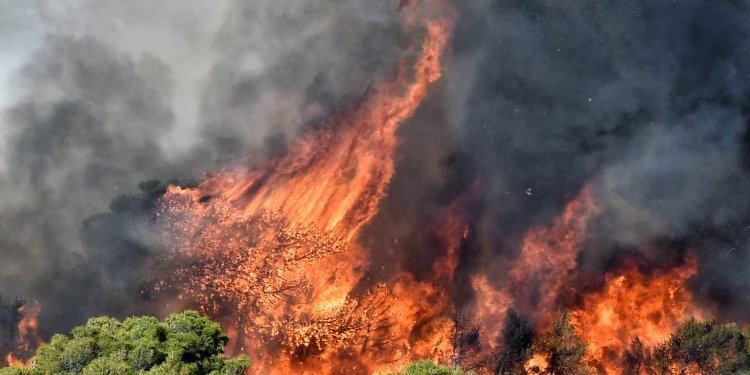 Πολύ υψηλός κίνδυνος πυρκαγιάς αύριο σε Αττική και περιοχές των Περιφερειών Στερεάς Ελλάδας, Πελοποννήσου, Κρήτης και Βορείου Αιγαίου