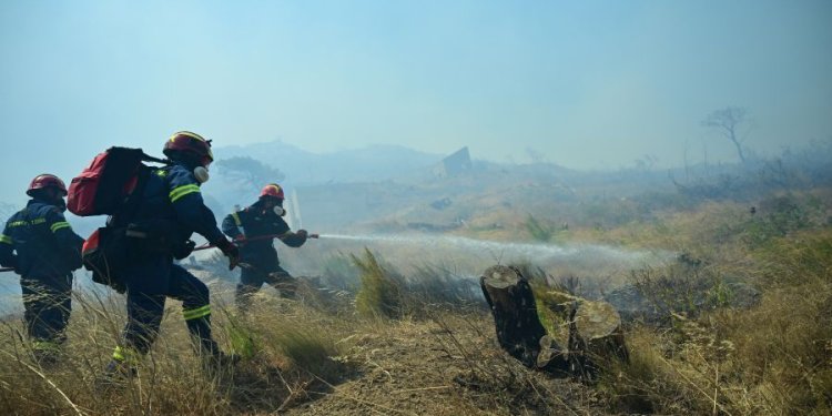 Πυρκαγιά σε αγροτοδασική έκταση στον Ριόλο Αχαΐας