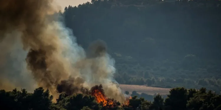 Συνελήφθη 56χρονος για πυρκαγιά από αμέλεια στην περιοχή Πλατάνα Ευβοίας