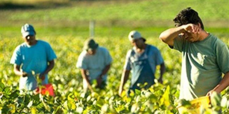 Στην αγορά εργασίας μετανάστες και πρόσφυγες με ημερομίσθιο 39 ευρώ – Κίνητρα για απασχόληση προσφύγων και μεταναστών στον αγροτικό τομέα