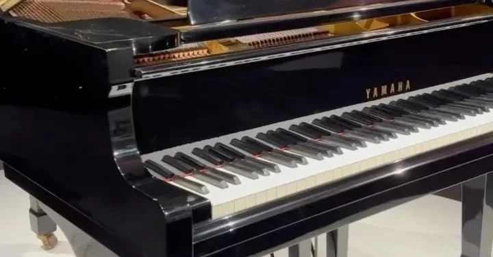 Ακόμα μια διάκριση έρχεται να προστεθεί στις επιτυχίες των σπουδαστών του Δημοτικού Ωδείου Δήμου Ρεθύμνης.