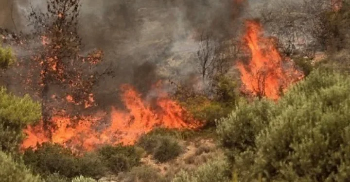 Φωτιά ξέσπασε γύρω στις 12 το μεσημέρι σε δασική έκταση στο Χορτιάτη Θεσσαλονίκης, που άμεσα σήμανε συναγερμό στις πυροσβεστικές δυνάμεις.