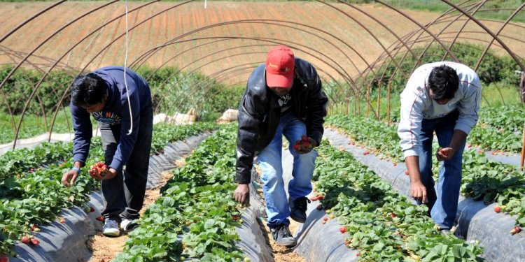 Με στόχο την ενίσχυση της κοινωνικής συνοχής και της απασχόλησης, μέσω της οργανωμένης ένταξης προσφύγων και μεταναστών στην αγορά εργασίας, δημοσιεύτηκε Κοινή Υπουργική Απόφαση με την οποία καθορίζονται οι όροι και οι προϋποθέσεις του νέου προγράμματος πρακτικής άσκησης για πρόσφυγες και μετανάστες, το οποίο χρηματοδοτείται από το Ταμείο Ανάκαμψης και Ανθεκτικότητας.