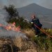 Πυρκαγιά ξέσπασε πριν από λίγη ώρα σε περιοχή με χαμηλή βλάστηση στα Οινόφυτα Βοιωτίας, από άγνωστη μέχρι στιγμής αιτία.