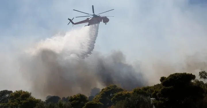 Σε ύφεση και χωρίς ενεργό μέτωπο η πυρκαγιά στο Χαλκούτσι Ωρωπού