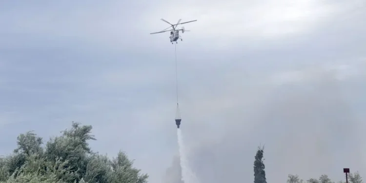 Ηράκλειο: Πυρκαγιά σε χορτολιβαδική έκταση στις Μελέσες