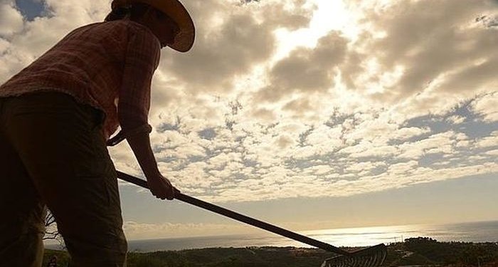 Στην Αθήνα κατεβαίνουν αγρότες και κτηνοτρόφοι – Συγκέντρωση το μεσημέρι έξω από το ΥπΑΑΤ – Ποια είναι τα αιτήματά τους Στην Αθήνα κατεβαίνουν αγρότες και κτηνοτρόφοι – Συγκέντρωση το μεσημέρι έξω από το ΥπΑΑΤ – Ποια είναι τα αιτήματά τους