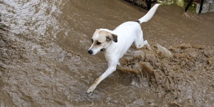 Σοβαρά προβλήματα από την ισχυρή βροχόπτωση στην Ηλεία