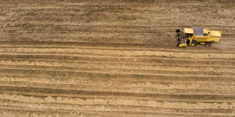 Σε λειτουργία τέθηκε το υποσύστημα Εργοσήμου του ΟΓΑ με νέες λειτουργικές δυνατότητες