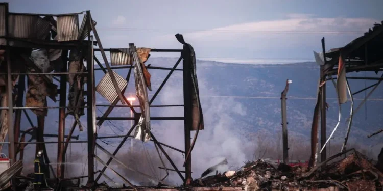 Τρίκαλα: Ελεύθερος με περιοριστικούς όρους διευθυντικό στέλεχος της «Βιολάντα»