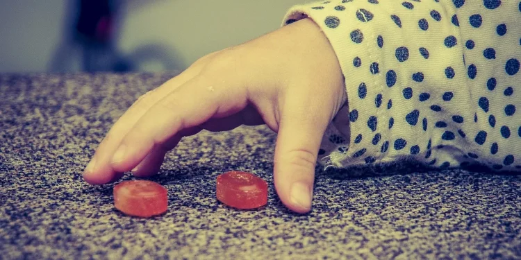 Η ανθυγιεινή διατροφή κατά την παιδική ηλικία προκαλεί μακροχρόνιες αλλαγές στον εγκέφαλο