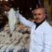 Αλμυρός και με φτερά ο μπακαλιάρος… με τιμές στα ύψη
