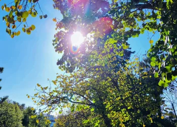 Αντιπαράθεση Δούκα-Μπακογιάννη για χώρο πρασίνου στα Άνω Πατήσια