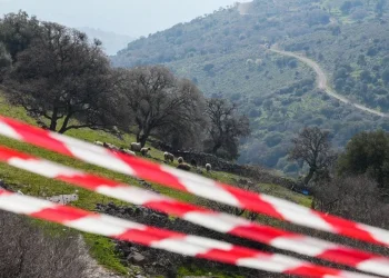 Έκτακτη ανάγκη στη Μυτιλήνη λόγω αφθώδους πυρετού