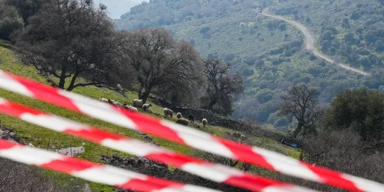 Έκτακτη ανάγκη στη Μυτιλήνη λόγω αφθώδους πυρετού