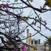 Σημαντική βελτίωση της θέσης της Ελλάδας στο πεδίο της Δημόσιας Ακεραιότητας