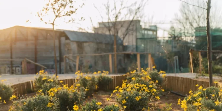 Συνεχίζουμε να δημιουργούμε «πράσινες ευκαιρίες» στις γειτονιές της Αθήνας Συνεχίζουμε να δημιουργούμε «πράσινες ευκαιρίες» στις γειτονιές της Αθήνας