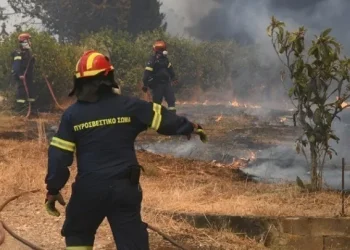 Μάχη με τις φλόγες στη Βόνιτσα – Οριοθετήθηκε η πυρκαγιά στην Οινούσσα Σερρών