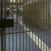 Κρατούμενοι ο φερόμενος ως ανώτατο στέλεχος της εγκληματικής οργάνωσης και η σύζυγός του