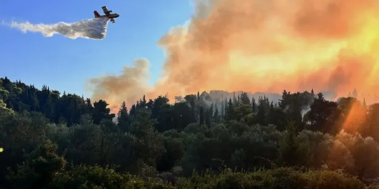 Πυρκαγιά σε δασική έκταση στο Λέπρεο Ηλείας