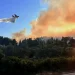 Πυρκαγιά σε δασική έκταση στο Λέπρεο Ηλείας