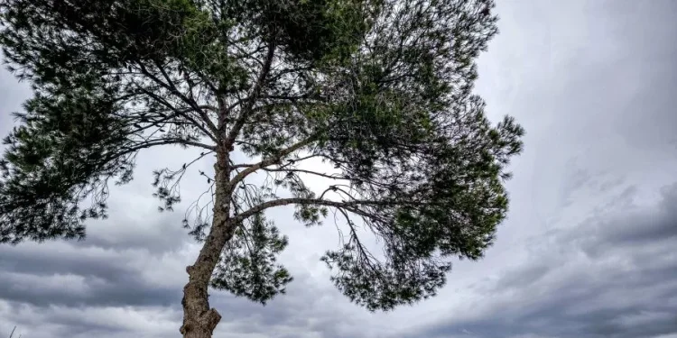 Μικρή πτώση της θερμοκρασίας με τοπικές βροχές σήμερα