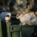 Περιορισμένη αποκομιδή απορριμμάτων αύριο