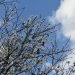 Αίθριος καιρός και άνοδος της θερμοκρασίας σήμερα