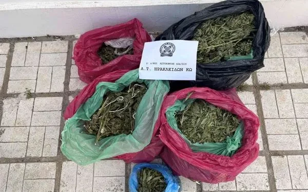 Κως: Σύλληψη 29χρονου αλλοδαπού που καλλιεργούσε δενδρύλλια χασίς για λογαριασμό 35χρονου – Βρέθηκαν 6,7 κιλά χασίς