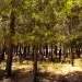 Επτά στις δέκα περιοχές Natura προστατεύονται από ΕΠΜ – Τι σηματοδοτεί η απόφαση για τα Ιωάννινα