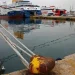 Αυτοκίνητο έπεσε στη θάλασσα στην πύλη Ε2 του Πειραιά – Σώος ο 89χρονος οδηγός