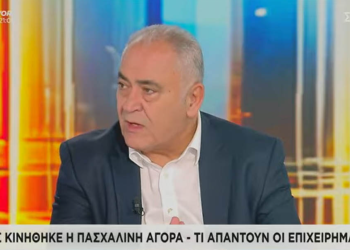 Γ. Χατζηθεοδοσίου στον ΣΚΑΪ για έρευνα ΕΕΑ που καταγράφει συρρίκνωση των πωλήσεων κατά την πασχαλινή περίοδο