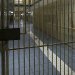 Νιγρίτα Σερρών: Στα χέρια της αστυνομίας ύποπτος για τη φονική συμπλοκή με δύο νεκρούς κρατούμενους στις φυλακές