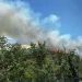 Βελτιωμένη η εικόνα από τη φωτιά στη Φθιώτιδα – 40 αγροτοδασικές πυρκαγιές το τελευταίο 24ωρο – Τρεις συλλήψεις για πυρκαγιές από αμέλεια σε Πρέβεζα και Χαλκιδική