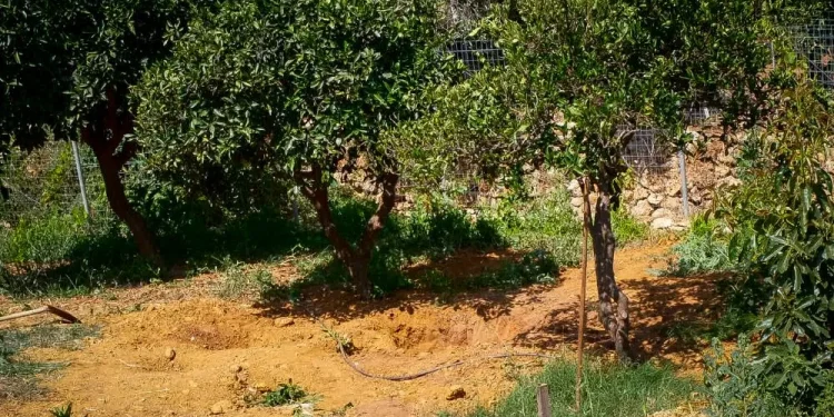 Έγκλημα στα Χανιά: Δεμένη και φιμωμένη βρέθηκε η 45χρονη