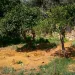 Έγκλημα στα Χανιά: Δεμένη και φιμωμένη βρέθηκε η 45χρονη