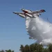 Φωτιά σε αγροτοδασική έκταση στην Ηλεία