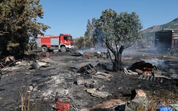 Υπό μερικό έλεγχο η πυρκαγιά στην Πέτρα Βοιωτίας