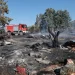Υπό μερικό έλεγχο η πυρκαγιά στην Πέτρα Βοιωτίας