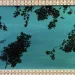 «Γιατί Κελαηδά το πουλί στο κλουβί»: Νέα ομαδική έκθεση σύγχρονης τέχνης στην Πινακοθήκη Δήμου Αθηναίων