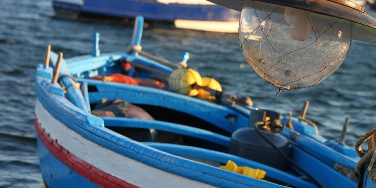 Σχοινάς: Επιδότηση του λαγοκέφαλου σε Κρήτη και Ν. Αιγαίο έως 5,33 ευρώ το κιλό – 7 μέτρα στήριξης για τους επαγγελματίες αλιείς