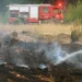 Στον Εισαγγελέα σήμερα ο 45χρονος μελισσοκόμος για την φωτιά στο άλσος Βεΐκου