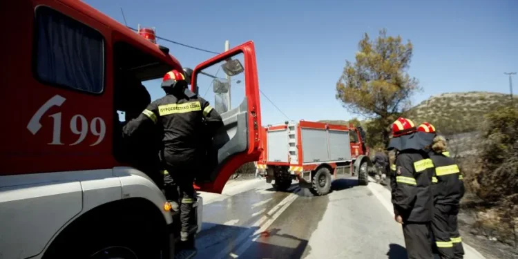 Χωρίς ενεργό μέτωπο η πυρκαγιά στον Άγιο Θωμά Βοιωτίας