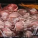 Λαμία: Εντοπίστηκε σαλμονέλα και σε άλλες παρτίδες κοτόπουλου από διαφορετικούς προμηθευτές