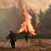 Πυρκαγιά σε δασική έκταση στη Βωβούσα Ιωαννίνων