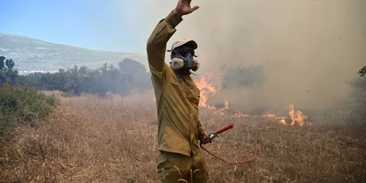 Χωρίς ενεργό μέτωπο η πυρκαγιά στον Ίμερο Ροδόπης