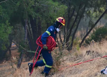 Χωρίς ενεργό μέτωπο η πυρκαγιά στη Μακρυκάπα Εύβοιας – Οριοθετήθηκε στην Αμφιθέα Αλεξανδρούπολης