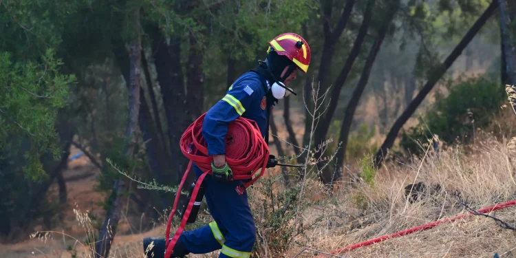 Χωρίς ενεργό μέτωπο η πυρκαγιά στη Μακρυκάπα Εύβοιας – Οριοθετήθηκε στην Αμφιθέα Αλεξανδρούπολης